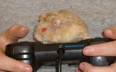 Spot playing with a controler