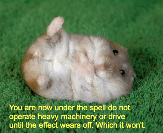 the spell